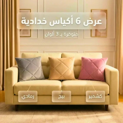 عرض 6 أكياس خدادية مطرزة - كابتونيه